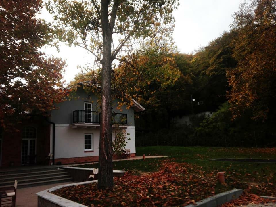 Varga Villa Orfu Exterior photo